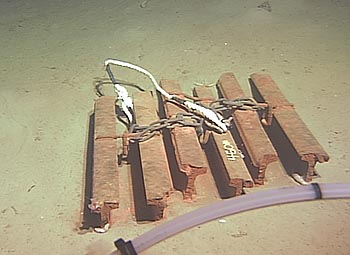 Image credit: (c) 2004 MBARI