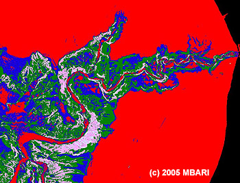 The colors in this computer-generated image indicate the steepness of the Monterey bay seafloor. Red areas are relatively flat. Successively steeper areas are shown in blue, green, pink, and white. The meandering axis of the Monterey Canyon is relatively flat because it is partially filled with sand. Image (c) 2005 MBARI