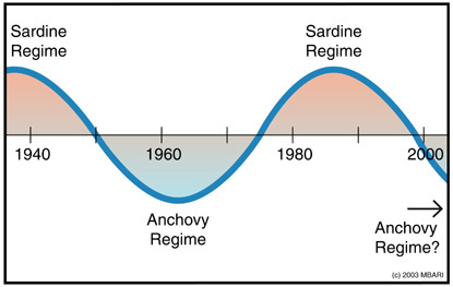 Alternating Sardine and Anchovy Regimes