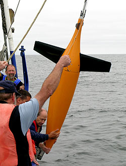 Image credit: Kim Fulton-Bennett (c) 2006 MBARI