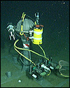 Scientists can now view live data from these instruments 3,500 meters below the ocean surface.