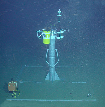 The newly deployed remote instrument node (RIN) 3,500 meters down in the Shepard Meander of Monterey Canyon. Image (c) 2004 MBARI.