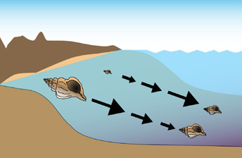 This drawing illustrates how the