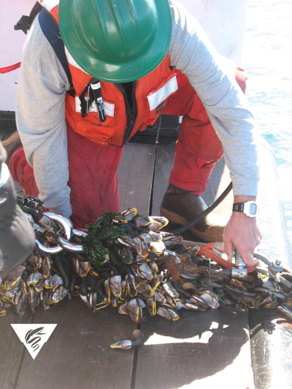 M1 Mooring Turnaround Mbari