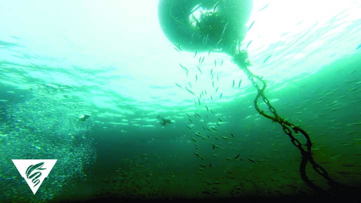 M1 Mooring Turnaround Mbari