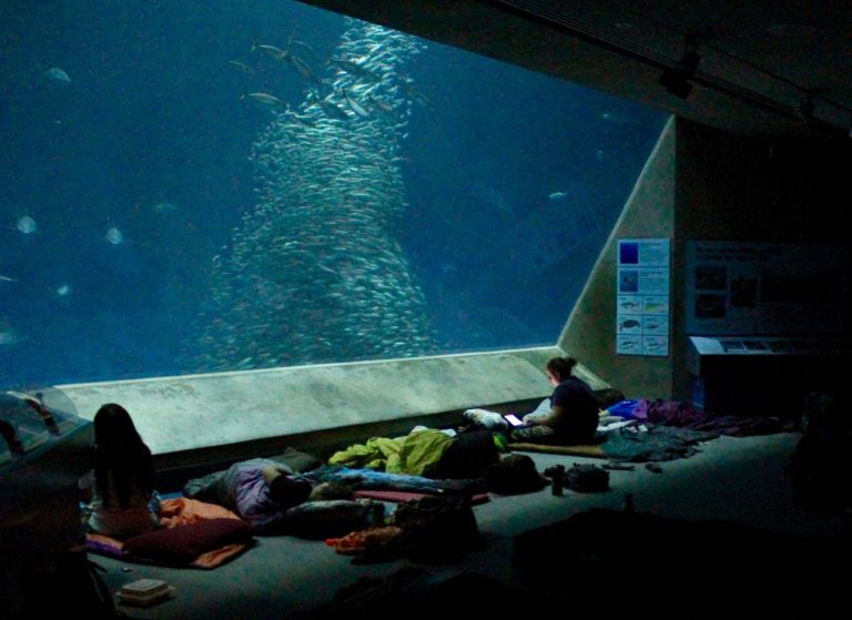 mbari summer internship program mbari