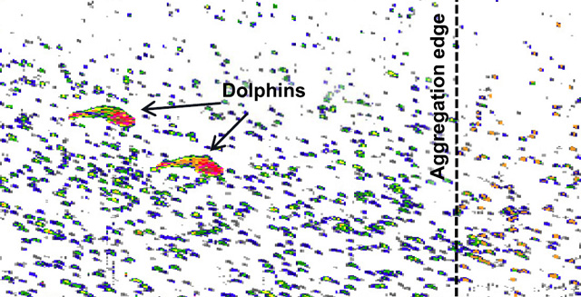 Undersea robot reveals “schools” of animals in deep scattering