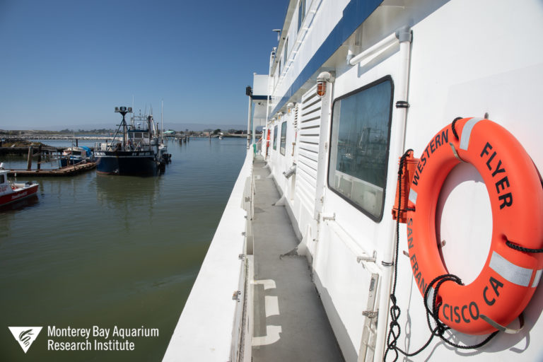 Exiting the harbor