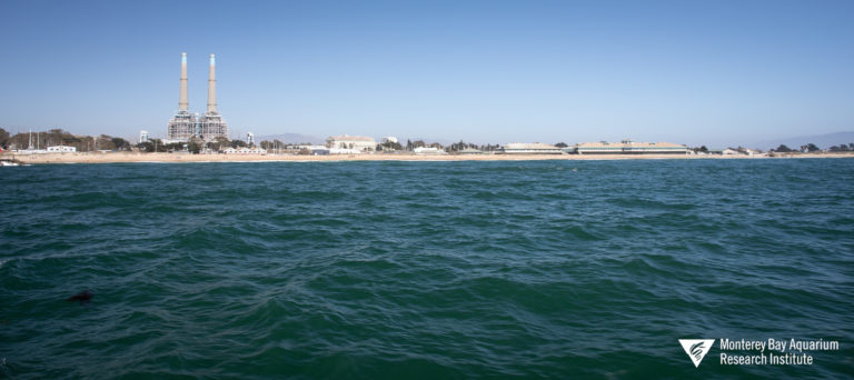 Moss Landing