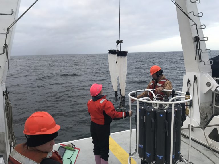 Deploying a net tow