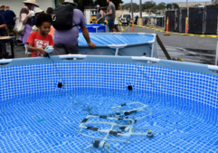 Testing an ROV