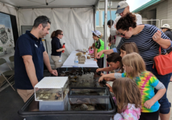 Benthic ecology