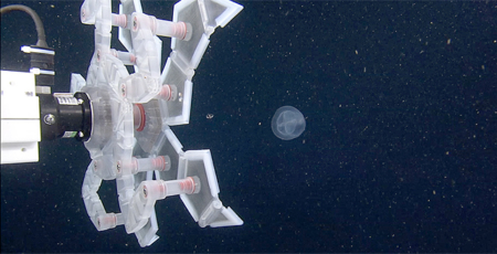 Researchers test new sampling device using ROV Ventana • MBARI