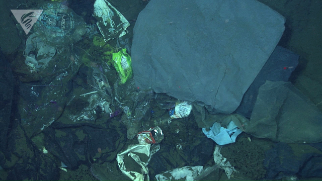 Trash on the seafloor
