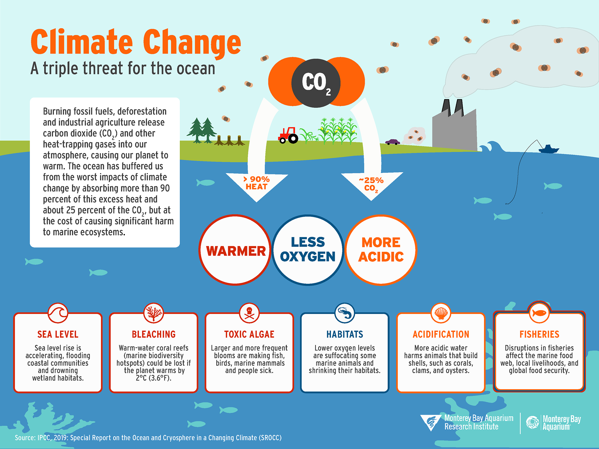 Climate Change Ocean Infographic