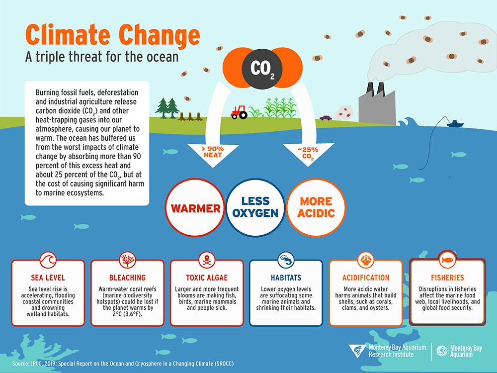 climate-change-and-the-ocean-mbari