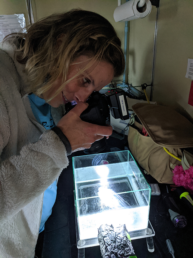 Biooptics Instagram Biodiversity and Biooptics 2020 Expedition - Log 1 • MBARI