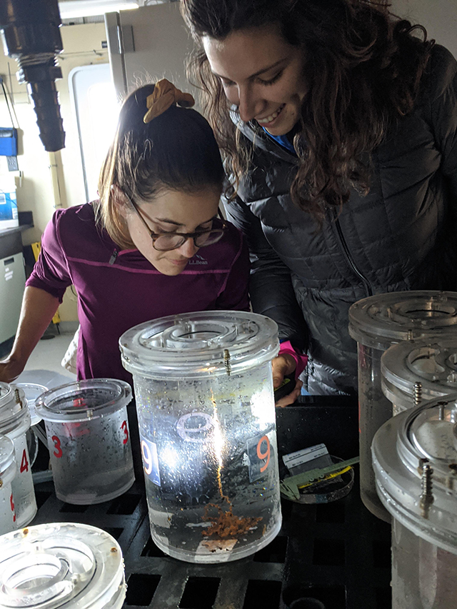 Biooptics Instagram Biodiversity and Biooptics 2020 Expedition - Log 2 • MBARI
