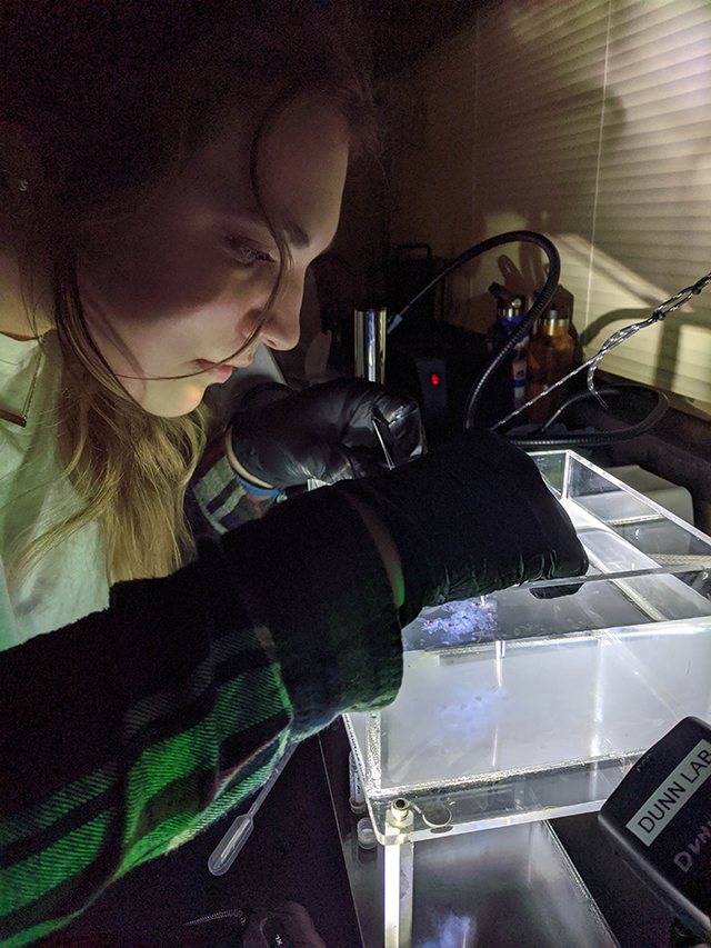 Biooptics Instagram Biodiversity and Biooptics 2020 Expedition - Log 2 • MBARI