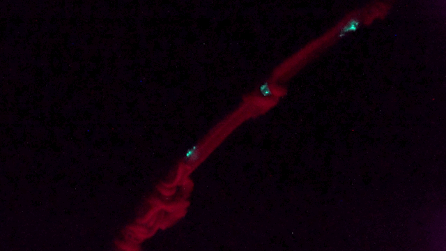 Bioluminescence • MBARI