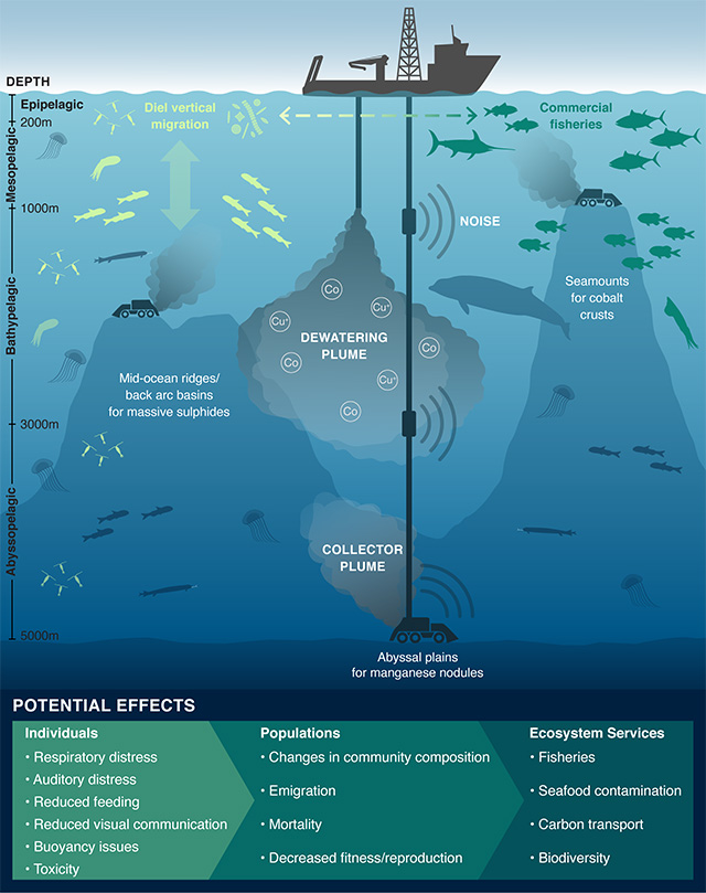 Scientists urge caution, further assessment of ecological impacts above  deep-sea mining • MBARI