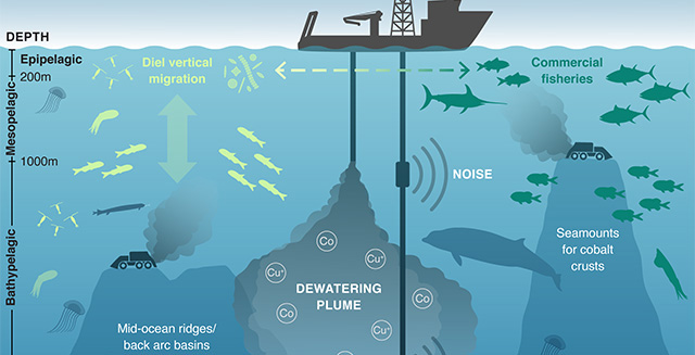 Marine biologists publish editorial in New York Times about risks of  deep-sea mining • MBARI