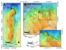Seeing Sur Ridge New Animation Transforms Deep Sea Mapping Data To