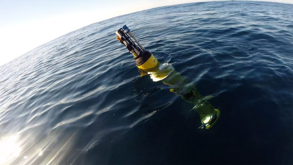 Oceanographic float on the ocean's surface.