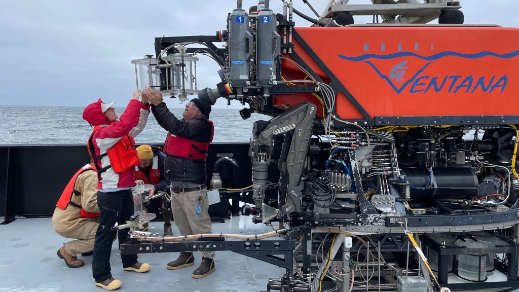 Dr. Llopis Monferrer attaching samplers to ROV Ventana before a dive.