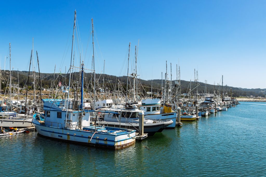 Dozens of small fishing and recreational boats sit docked at a marina. In the foreground is blue-green ocean. In the background are green coastal mountains and clear blue sky.