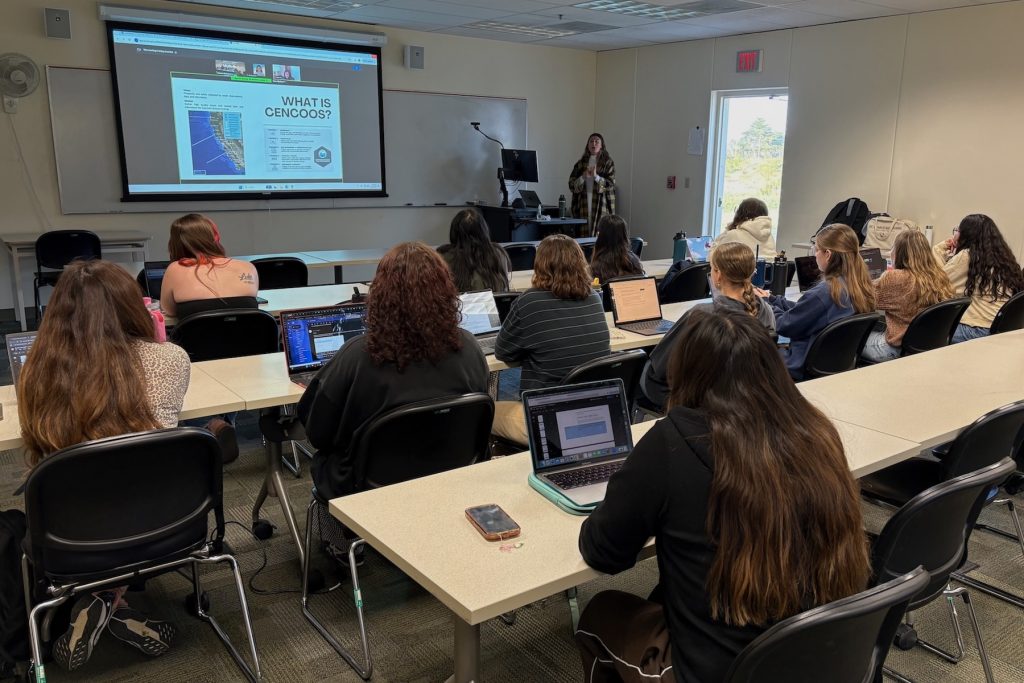 Twelve students participate in a training in a university classroom. The students are seated in three rows of tables with laptop computers. They are watching a speaker give a demonstration of a website on a large projector screen. In the background are a whiteboard, a computer desk, an open door, and the white walls of a classroom.