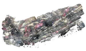 A three-dimensional computer illustration shows a community of several pink fan-shaped corals on a rocky outcropping. The background is transparent.