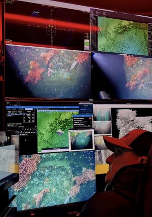 A submersible pilot watches a live feed of video from a robotic submersible. He is looking to his left, watching data displayed on a small monitor. In the background are several monitors displaying video of deep-sea corals and mapping data. The room is illuminated with red light.