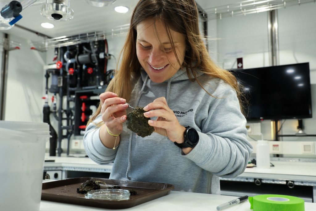 A scientist examines a brown rock in the lab aboard a research ship. She is smiling while holding a rock in her hands and removing a sample with silver metal tweezers. In the foreground is a tray with samples and scientific dishes. In the background are pumps for a seawater system, a monitor, and white walls.