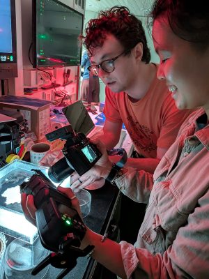 Two researchers examine and photograph specimens of deep-sea animals in a small tank of seawater in a lab aboard a research ship.