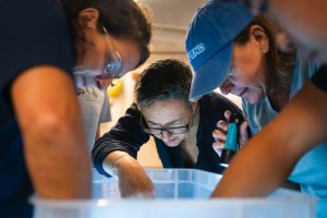 Four researchers examine specimens collected during a scientific expedition. All are leaning over a large clear plastic tub with their hands inside to examine and collect specimens. One is shining a flashlight into the tub. In the background are the white walls of a lab aboard a research ship.