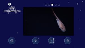 A dark blue screenshot shows a scientific image in the FathomVerse mobile app for localization by community scientists. The inset image is a pinkish-white octopus swimming in black water. At the top and bottom are app icons. In the top left corner is the white FathomVerse name and logo.