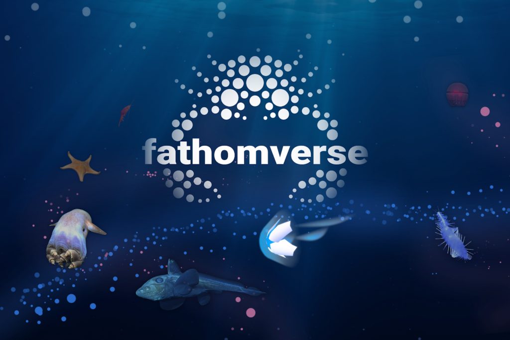 Promotional artwork for the FathomVerse video game features a blue background with a crab-shaped logo comprised of white circles and the word fathomverse above the crab’s claws. Below are a wave of blue bubbles and a wave of pink bubbles. Images of marine life including, from left, an orange sea star, a purple octopus, a bluish-brown ratfish, a red jelly, and a purple worm. A white-and-blue petal-shaped illustrated avatar is riding the wave of blue dots in the center of the frame, just below the FathomVerse logo.