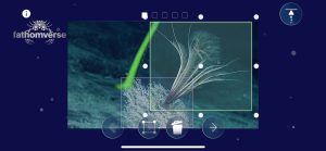 A screenshot shows the Bound mini-game in the FathomVerse mobile game. In the center of the frame is a photo of a brown feather star perched on top of a fluffy white coral on the greenish-black rocky seafloor, with the green stem of a second coral and a third fluffy white coral blurred in the background. On top of the feather star is a transparent bounding box with a yellow outline and nine white dots for the player to resize around an object of interest in the underlying photo. A second transparent bounding box with a light-purple outline is on top of the coral in the foreground. At the bottom of the frame are icons for gameplay, including from left an inactive grayed-out back arrow, a white square bounding box, a white trash can, and a white forward arrow. At the top of the frame are five small empty boxes marking player progress, with the first box filled in and solid white. On the top left of the frame is the FathomVerse logo with a stylized crab made of white dots, the text fathomverse, and a white information icon. On the top right of the frame is an icon with an upward arrow pointing to a horizontal white line.