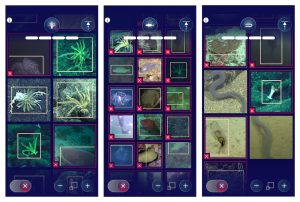 Three vertical dark blue screenshots illustrate a mini-game in the FathomVerse app. Each screenshot shows a grid of several images, some with a yellow box overlay and others with a red border and a red X. At the top and bottom of the screenshots are app icons.