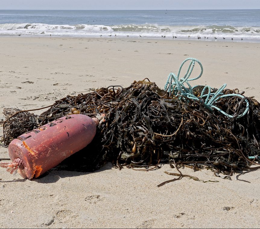 Abandoned fishing gear, including a red plastic float on the left and light-green rope on the right, decays on a sandy beach. The fishing gear is entangled in a mass of knotted, dried brown kelp. The background is breaking waves with several small seabirds running in the surf.