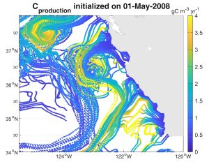 A data plot from a computer model shows carbon production during a plankton bloom. On the right is the California coast in gray. On the left is the Pacific Ocean in white with swirling tracks of currents and carbon on a spectrum of dark blue to green to orange to yellow. At the top is a title reading C production initialized on 01-May-2008. On the right axis is a key for carbon production titled gC m^-3 yr^-1 on a color spectrum from dark blue at the bottom to blue to green to orange to yellow at the top. On the left axis are latitude markers, and on the bottom axis are longitude markers.