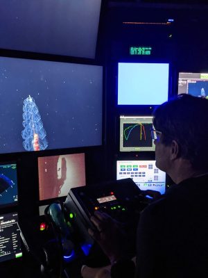 A scientist sits in the dark submersible control room on a research ship. He is operating a panel of camera controls while watching a live video feed of a gelatinous animal recorded by a robotic submersible.