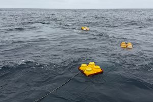 Three clusters of yellow buoyant floats bob on the open ocean surface, connected by a cable trailing back toward the camera, under an overcast sky.