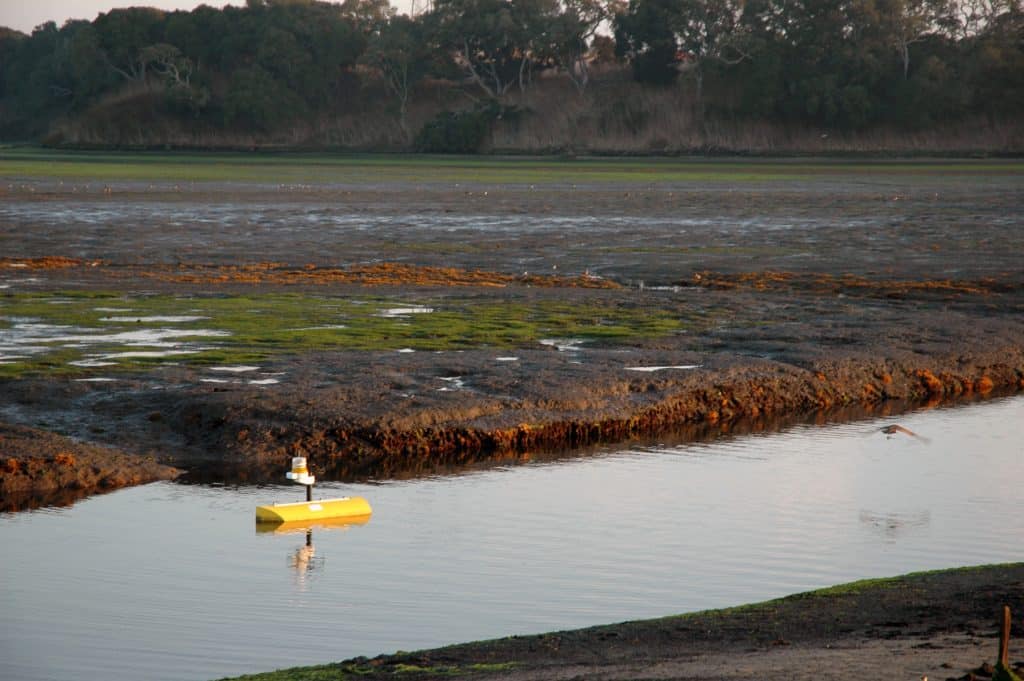 LOBO mooring in Elkhorn Slough, Moss Landing, CA.