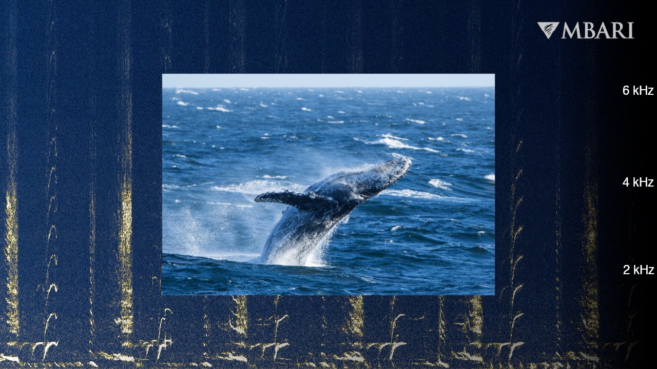 Winter in Monterey Bay
