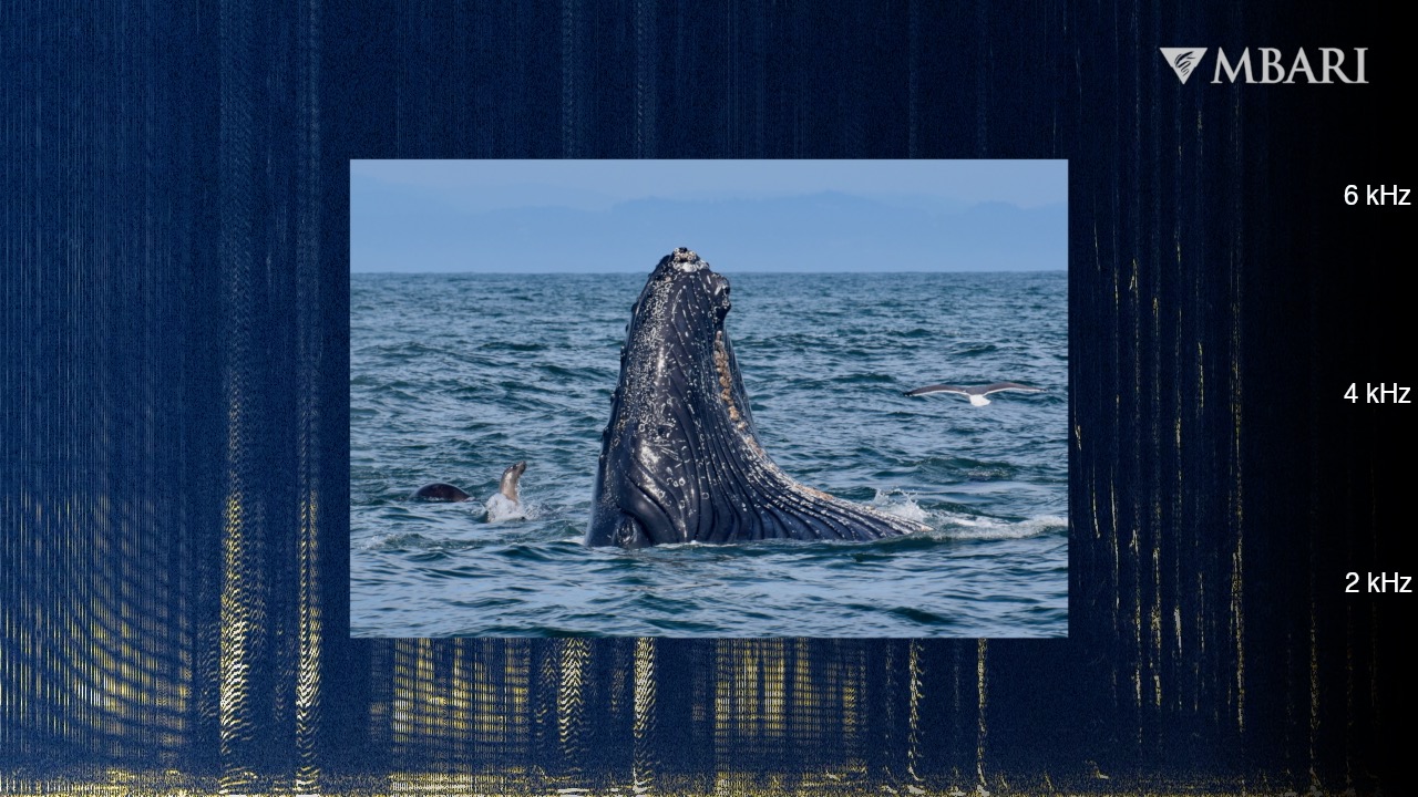 Early autumn in Monterey Bay