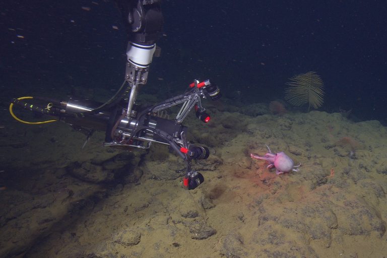 Homepage • MBARI