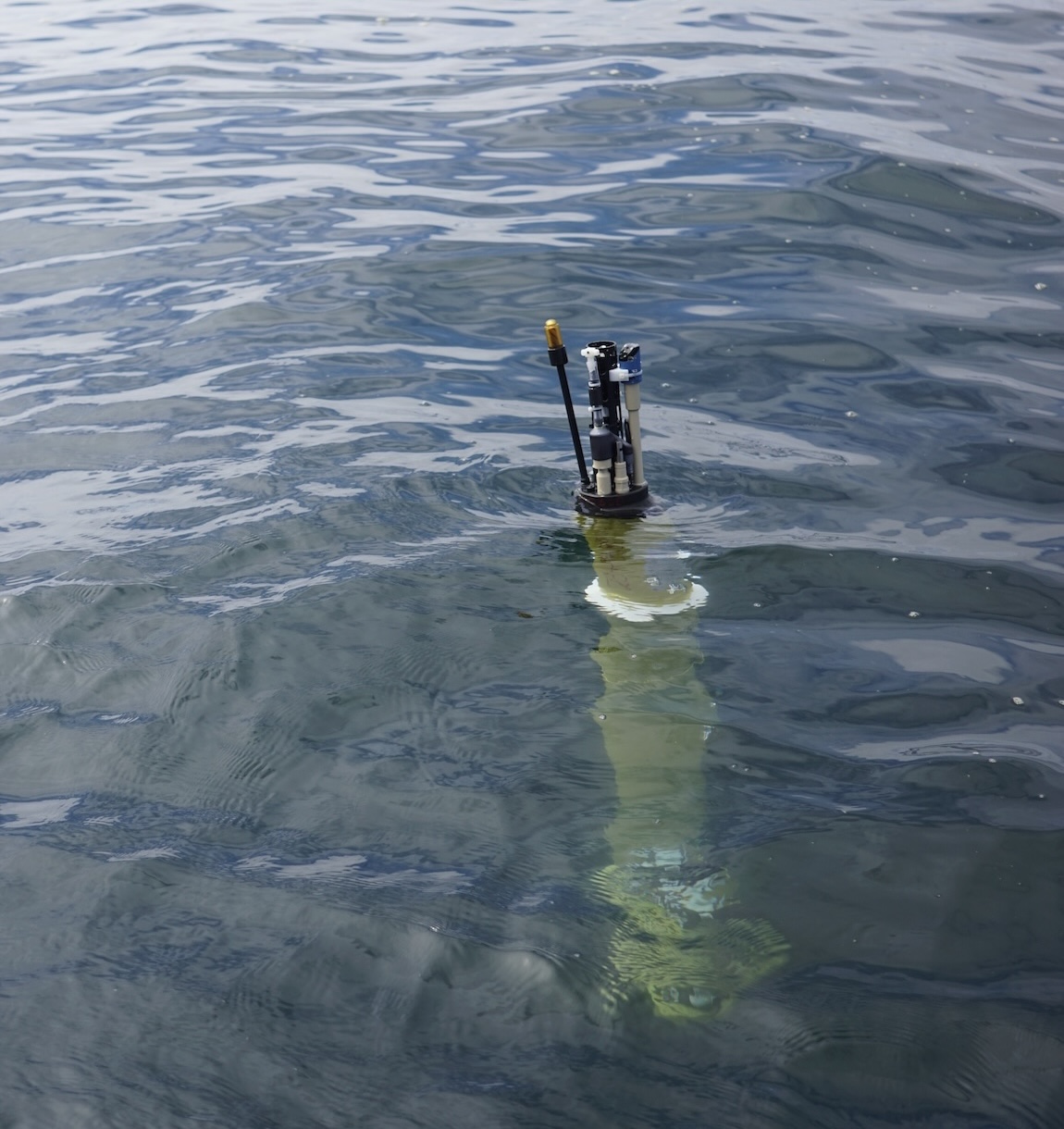 FathomNet hosts data competition to advance automated annotation of underwater imagery