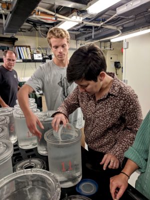 Four scientists examine specimens collected by a robotic submersible. The two scientists in the center are using a small clear plastic kitchen container to scoop animals out of a large clear plastic cylinder filled with cold water, with condensation on the outside. The background is the laboratory aboard a research ship, illuminated by white fluorescent light.